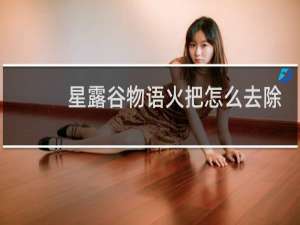 星露谷物语火把怎么去除