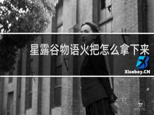 星露谷物语火把怎么拿下来