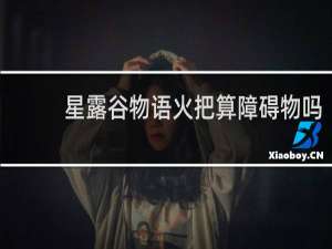 星露谷物语火把算障碍物吗