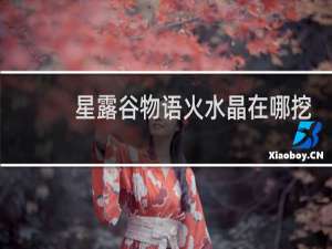 星露谷物语火水晶在哪挖