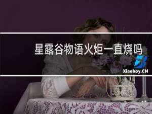 星露谷物语火炬一直烧吗