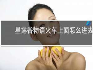 星露谷物语火车上面怎么进去