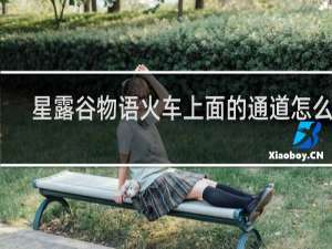 星露谷物语火车上面的通道怎么开