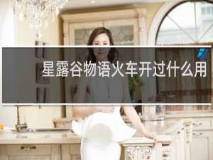 星露谷物语火车开过什么用
