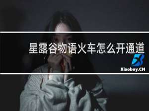 星露谷物语火车怎么开通道