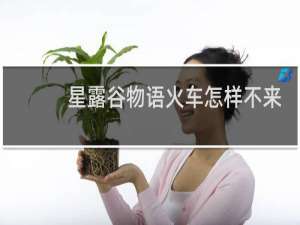 星露谷物语火车怎样不来