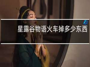 星露谷物语火车掉多少东西