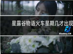 星露谷物语火车星期几才出现