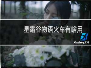 星露谷物语火车有啥用