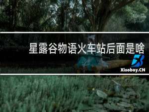 星露谷物语火车站后面是啥