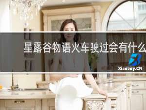 星露谷物语火车驶过会有什么