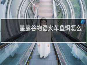 星露谷物语火车鱼饵怎么