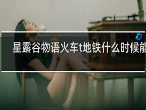 星露谷物语火车t地铁什么时候能用