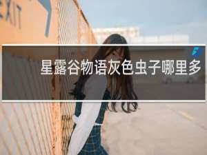 星露谷物语灰色虫子哪里多