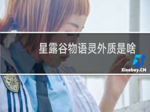 星露谷物语灵外质是啥
