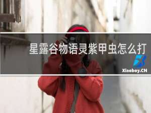 星露谷物语灵紫甲虫怎么打