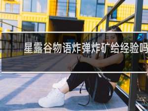 星露谷物语炸弹炸矿给经验吗