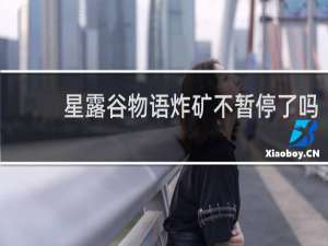星露谷物语炸矿不暂停了吗