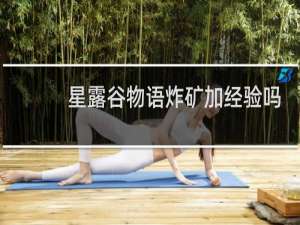 星露谷物语炸矿加经验吗