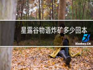 星露谷物语炸矿多少回本