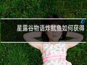 星露谷物语炸鱿鱼如何获得
