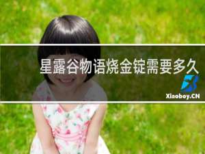 星露谷物语烧金锭需要多久