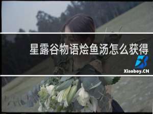 星露谷物语烩鱼汤怎么获得