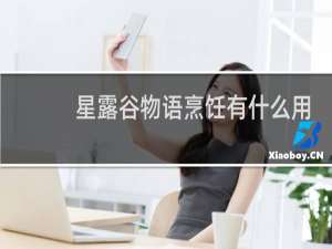 星露谷物语烹饪有什么用