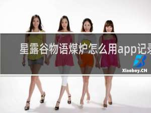 星露谷物语煤炉怎么用app记录