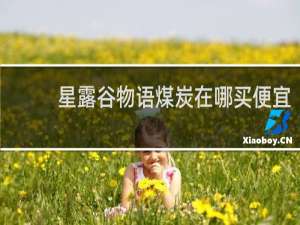 星露谷物语煤炭在哪买便宜