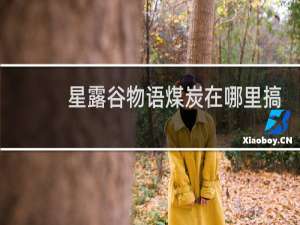 星露谷物语煤炭在哪里搞