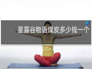 星露谷物语煤炭多少钱一个