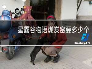 星露谷物语煤炭窑要多少个