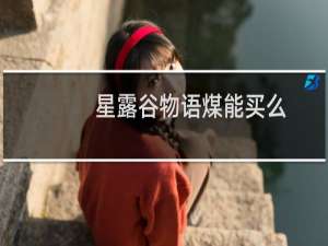星露谷物语煤能买么