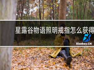 星露谷物语照明戒指怎么获得