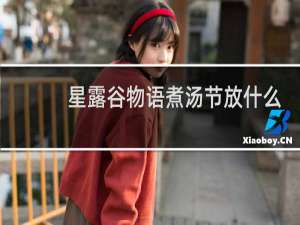 星露谷物语煮汤节放什么