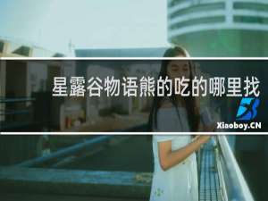 星露谷物语熊的吃的哪里找