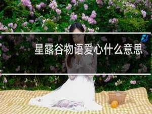 星露谷物语爱心什么意思