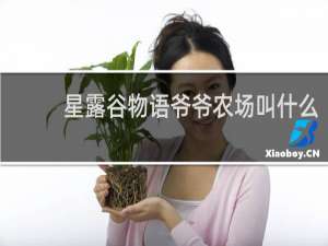 星露谷物语爷爷农场叫什么
