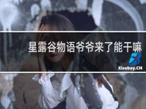 星露谷物语爷爷来了能干嘛