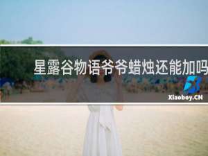 星露谷物语爷爷蜡烛还能加吗