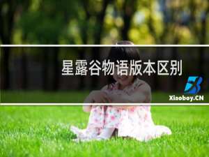 星露谷物语版本区别