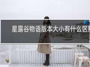 星露谷物语版本大小有什么区别