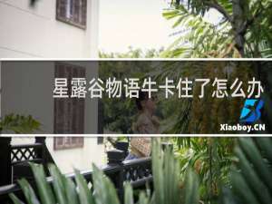 星露谷物语牛卡住了怎么办