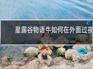 星露谷物语牛如何在外面过夜