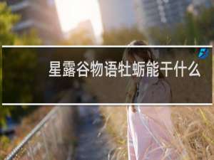 星露谷物语牡蛎能干什么