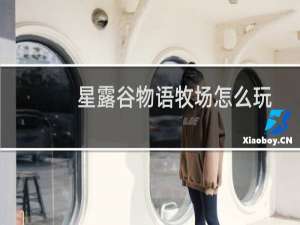 星露谷物语牧场怎么玩