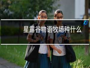 星露谷物语牧场种什么