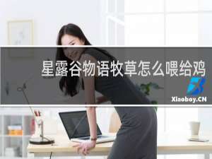 星露谷物语牧草怎么喂给鸡