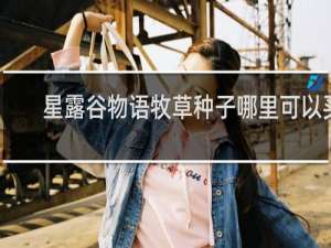 星露谷物语牧草种子哪里可以买